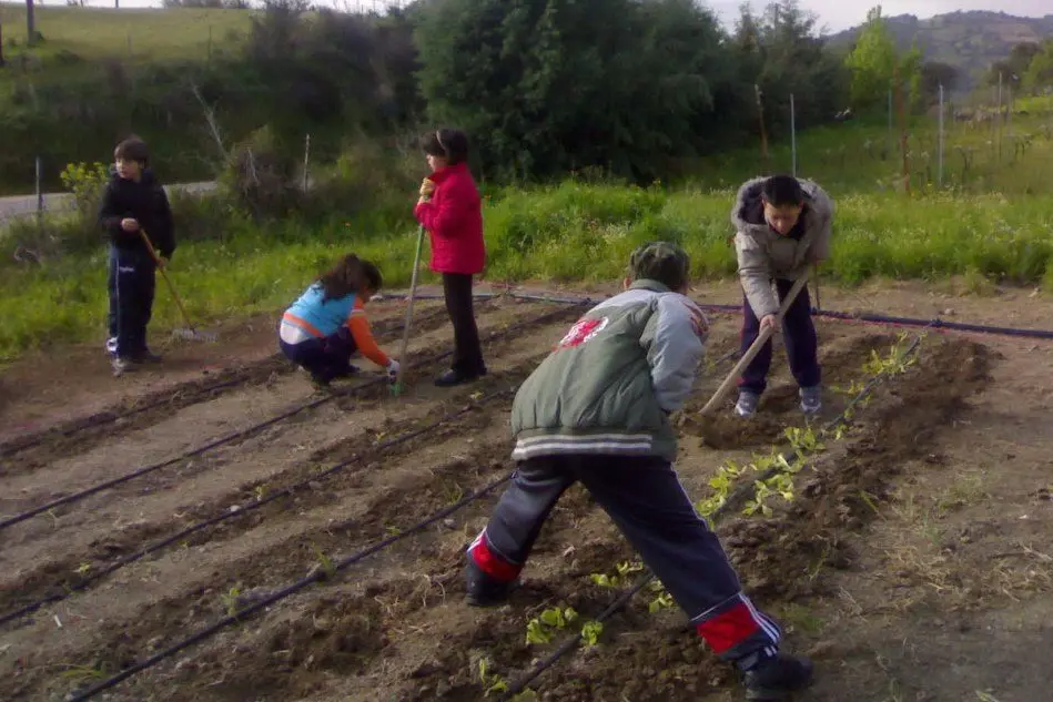 I bambini della scuola elementare di Nuoro lavorano un orto