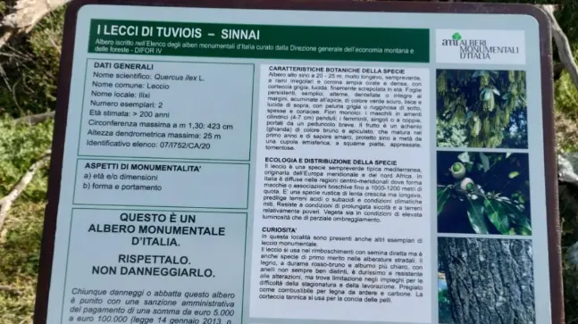 https://immagini.unionesarda.it/version/c:ODg1NDRkZWEtMWM4OC00:Yzg4NDQ3MWQtNDE1Mi00/image.webp?f=16:9
