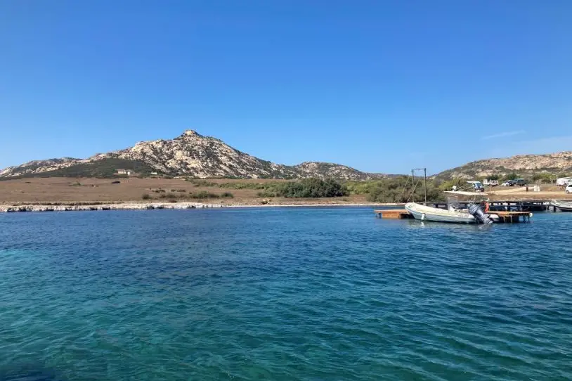 Asinara, cala d'oliva (foto Pala)