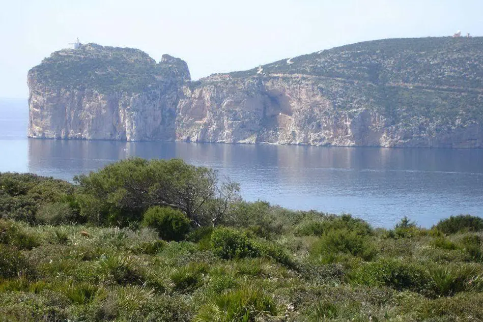 Registi in erba al parco di Porto Conte (archivio L'Unione Sarda)