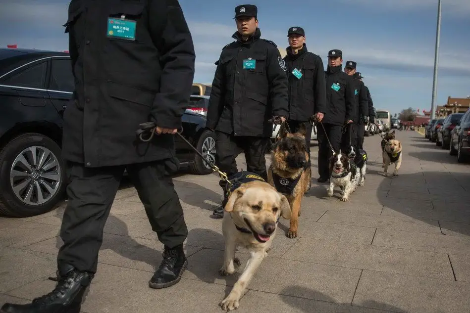 La polizia (Ansa)