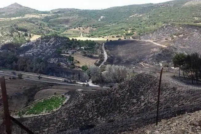 Una parte del territorio fra Segariu e Guasila interessato dall'incendio di ieri