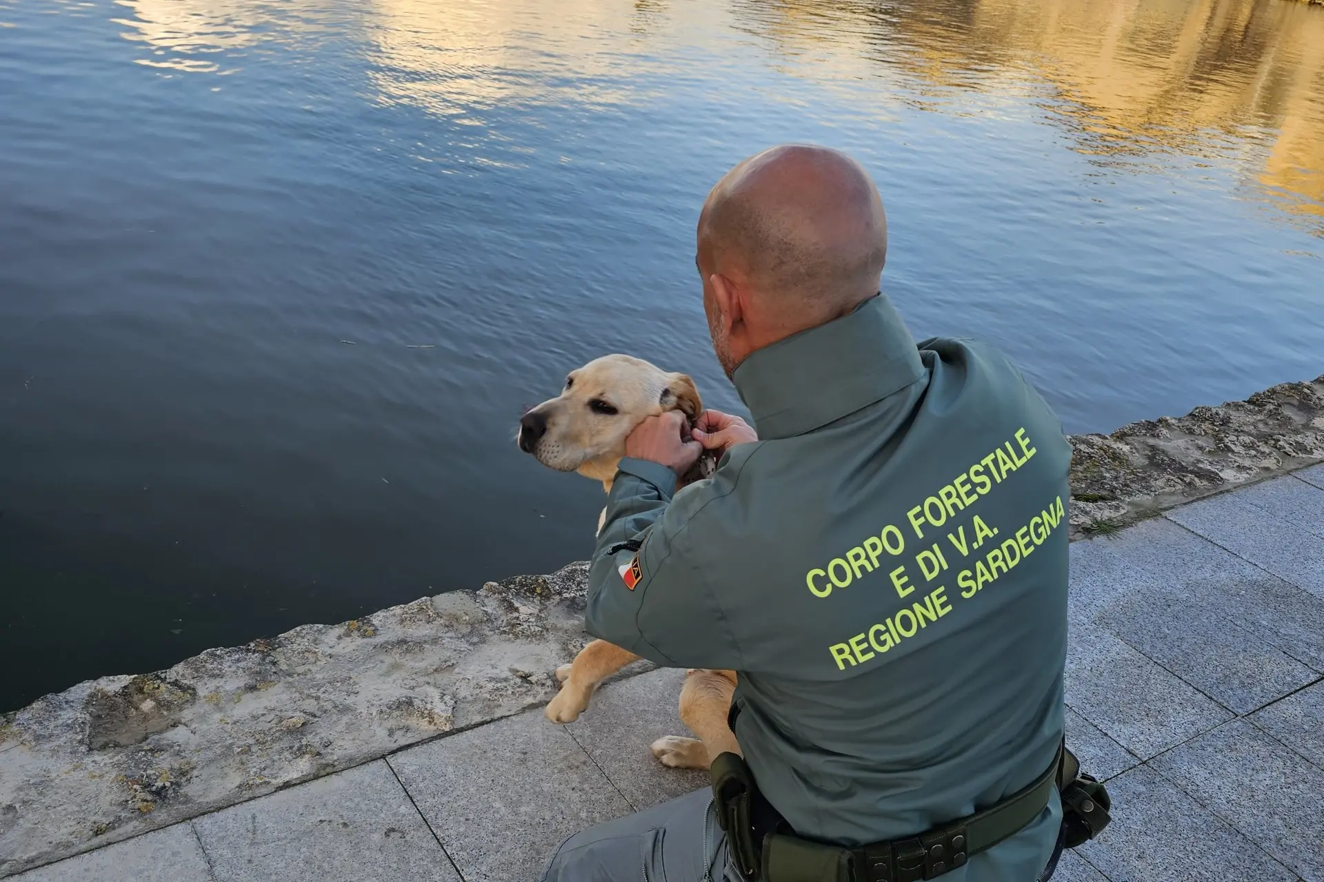 Il salvataggio a Molentargius