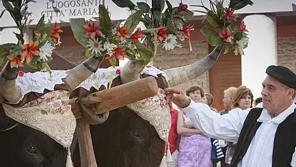 https://immagini.unionesarda.it/version/c:ODgwNmJiZWQtZTNhNC00:Y2ZlMjQ0NDEtOGJjYy00/image.webp?f=16:9