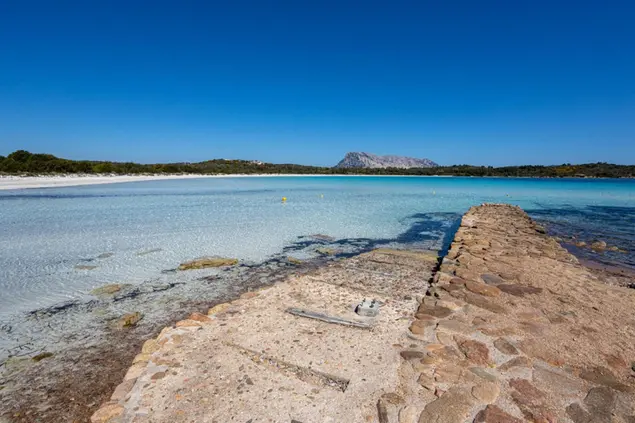 A Sassari le audizioni sarde per il 66esimo Zecchino D'oro: il Coro  Sant'Agostino organizza l'unico casting dell'isola nel 2023 - Sardegna  Reporter