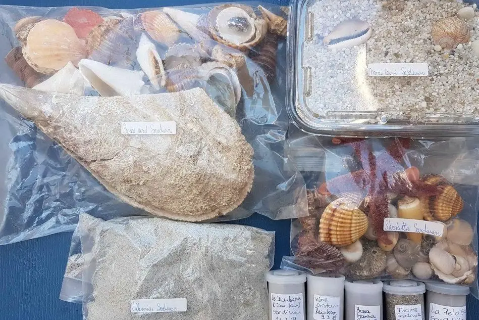 Il materiale sequestrato (foto dalla pagina Facebook di Sardegna rubata e depredata)