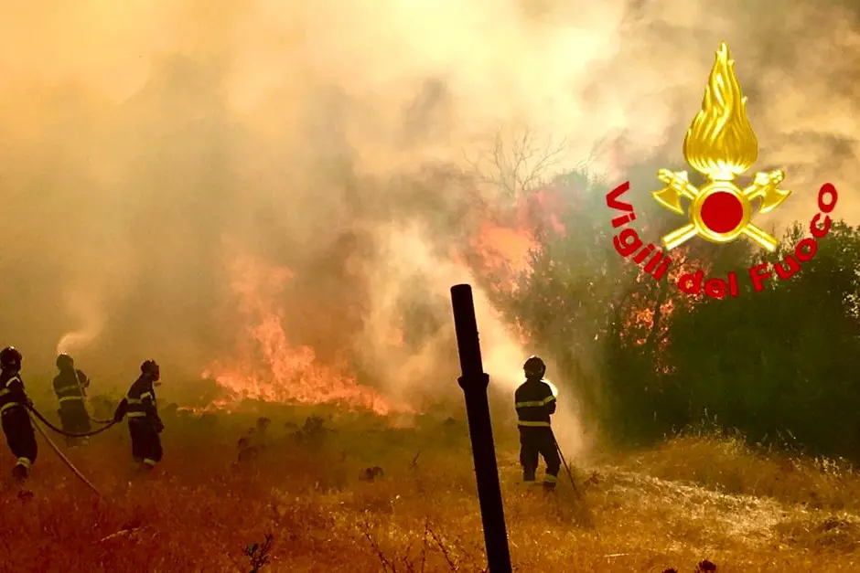 Il rogo nelle campagne di Padru (foto vigili del fuoco)