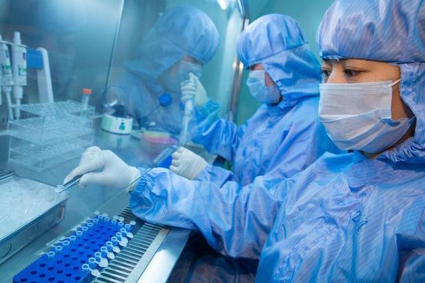 China, a new virus identified: it's called Langya
