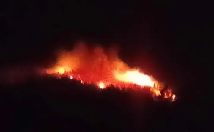 Un'immagine dell'incendio a Gairo (foto Facebook Forestas)