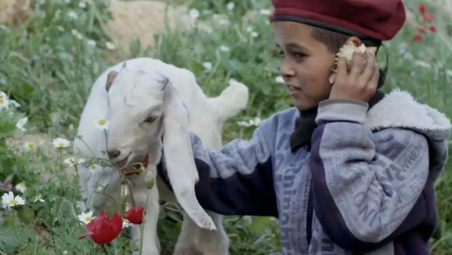 Approda a Sassari e Ploaghe il Nazra Palestine Short Film Festival