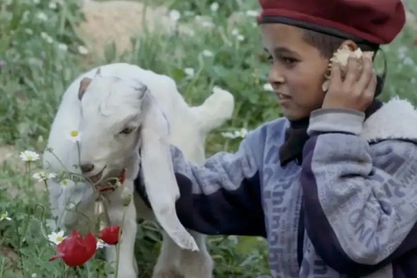 Un'immagine di "Khaled and Nema"