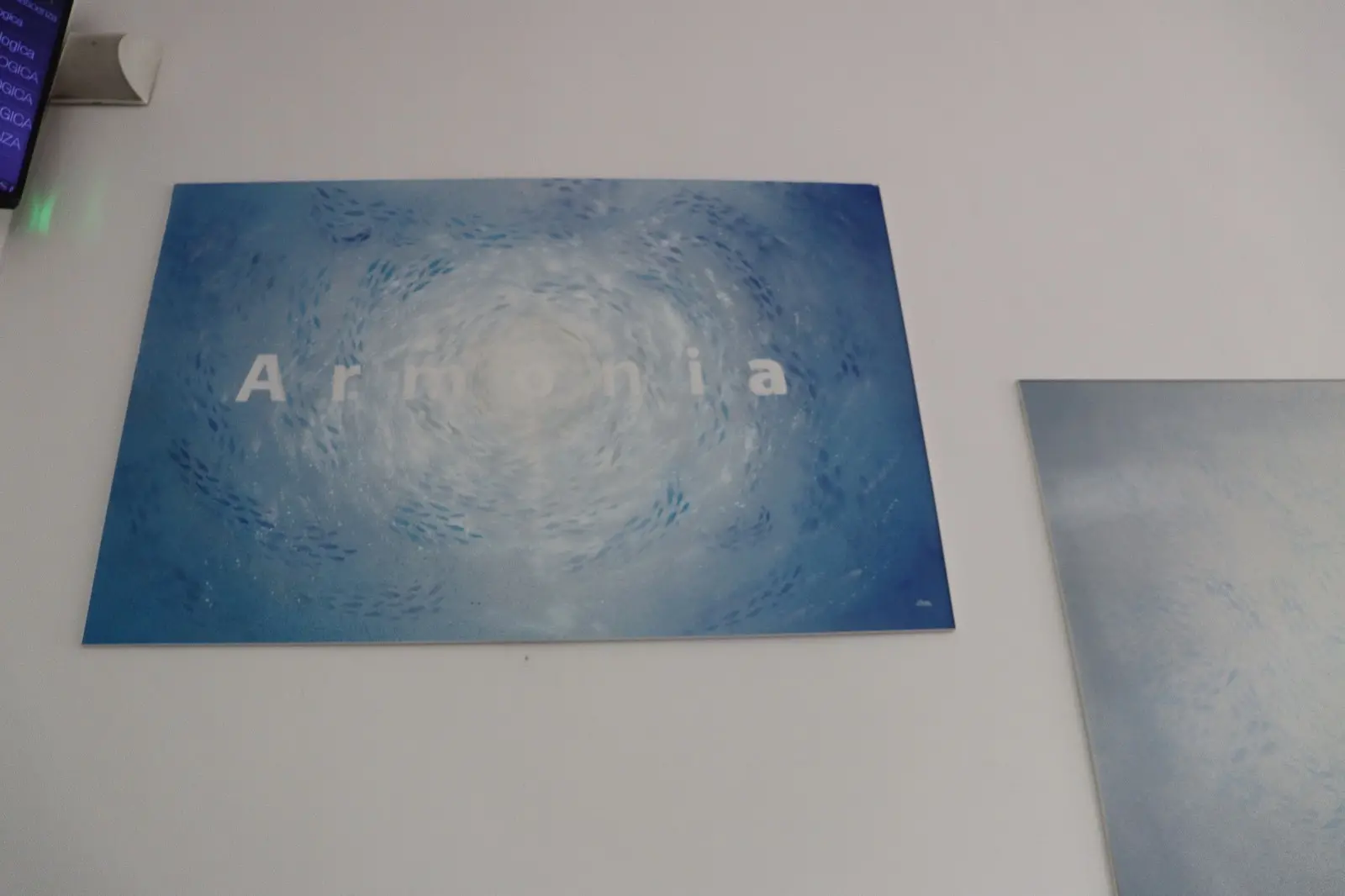 Una delle opere realizzate da Manu Invisible (Foto Asl 3)