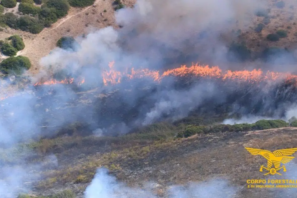 L'incendio di San Basilio (foto Corpo forestale Sardegna)