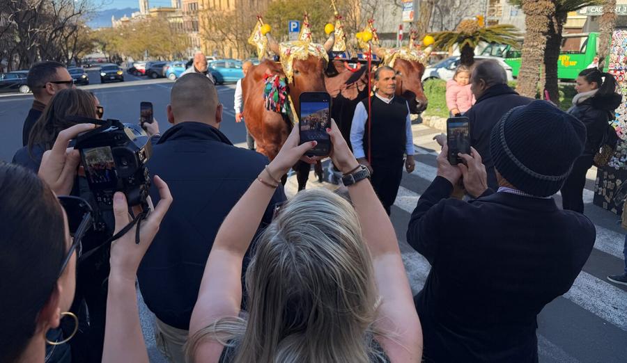 Lo stupore dei turisti davanti al corteo: «È tutto incantevole»