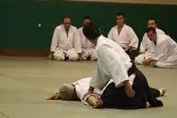 Una lezione di aikido