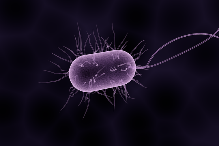 L’allarme dell’Ecdc: “Superbatteri pericolosi come influenza, tubercolosi e Hiv messi insieme”