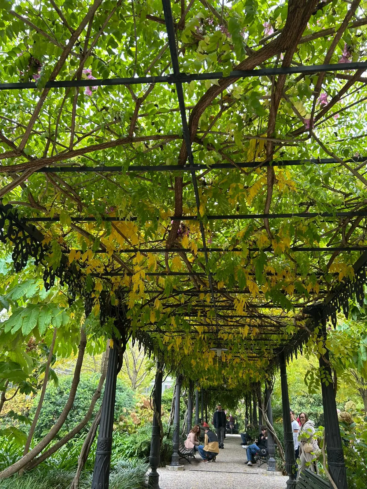 contentid/bf771129-8dc6-4178-af5d-2b8df112b072