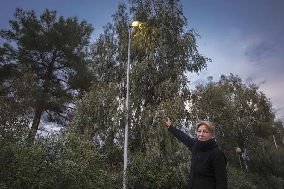 Silvia Celona davanti ai lampioni coperti dagli alberi