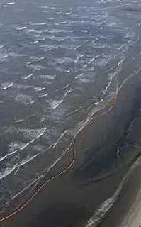 La &quot;marea nera&quot;