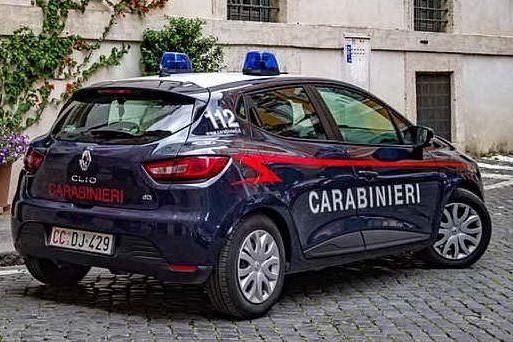 Su quanto accaduto indagano i carabinieri (foto Pixabay)