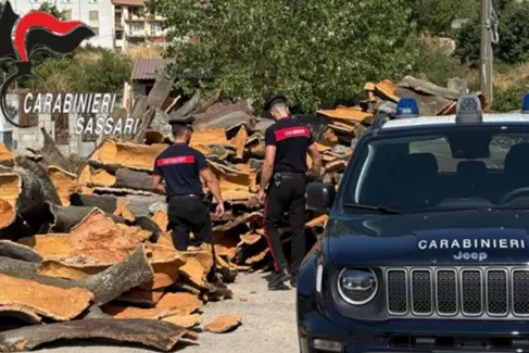 The recovered cork planks (Photo: Carabinieri)