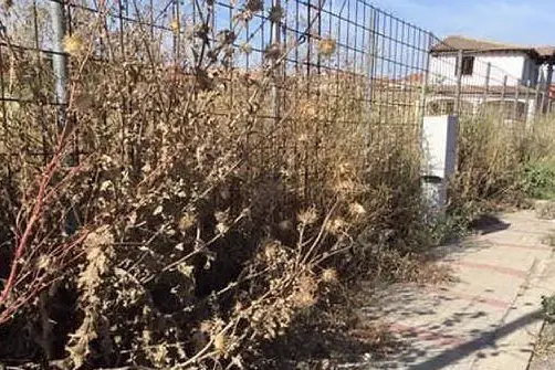 Un'area lasciata all'incuria a Senorbì