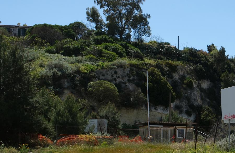 Un “Bioblitz” per scoprire Tuvixeddu