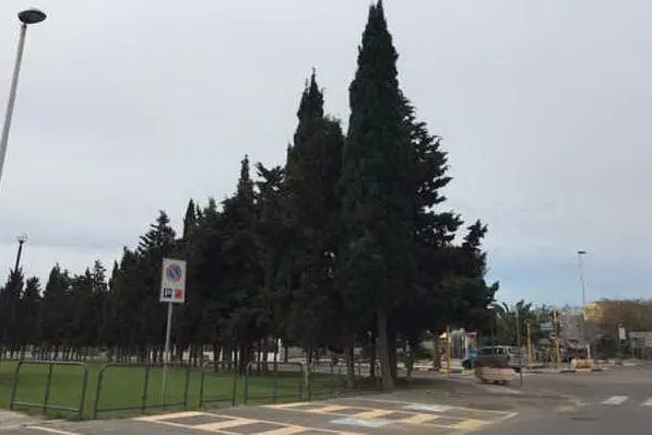 La zona di Linnaris