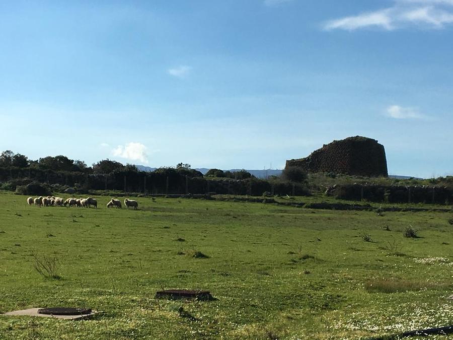Abbasanta, conclusa al Nuraghe Losa la Maratona della Pace promossa dalla Cisl