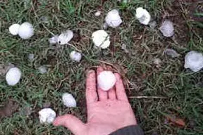 Chicchi di grandine (foto Coldiretti Oristano)