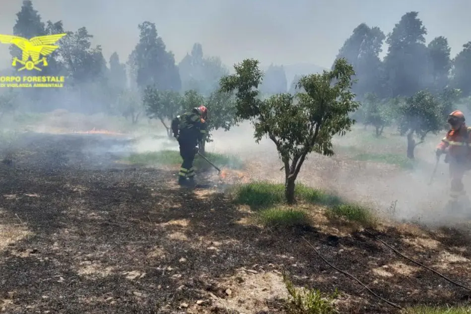 Incendio a Uta (foto Corpo forestale)