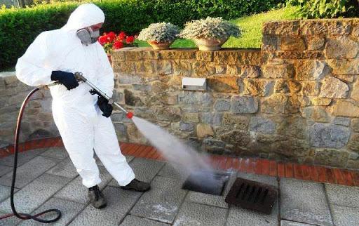 Sinnai, via alla disinfestazione dalle blatte nelle vie Da Vinci e Santa Vittoria