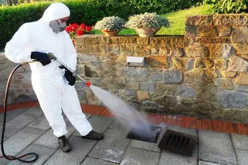 Disinfestazione (archivio L'Unione Sarda)