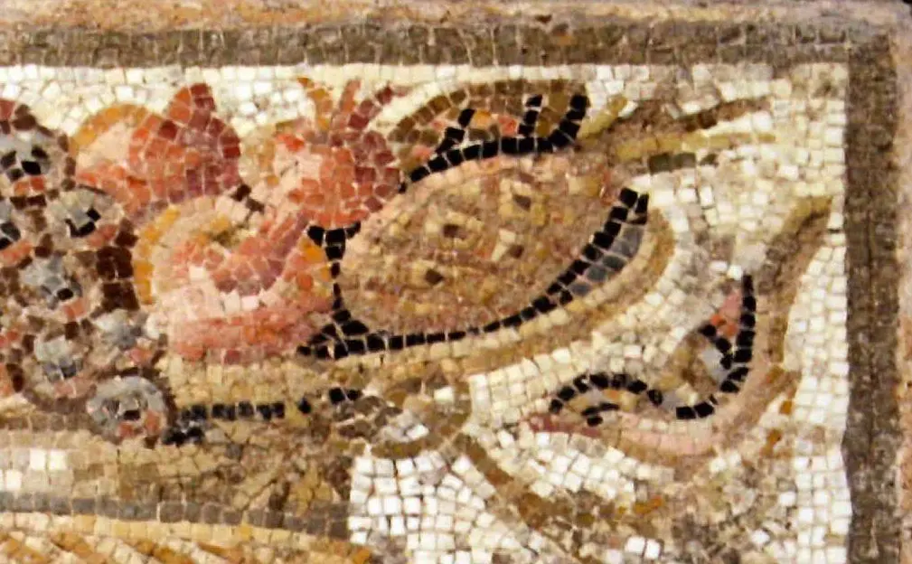 Particolare del mosaico con il presunto ananas alle terme di Roma (foto Roberto Roveda)