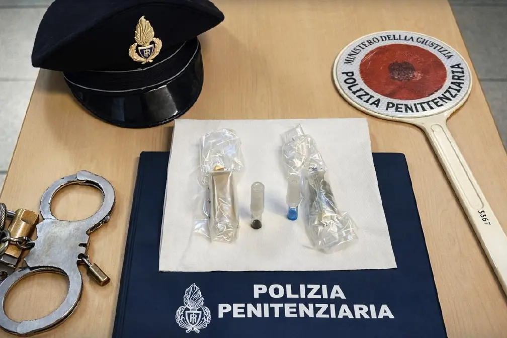 （图片由本人提供）