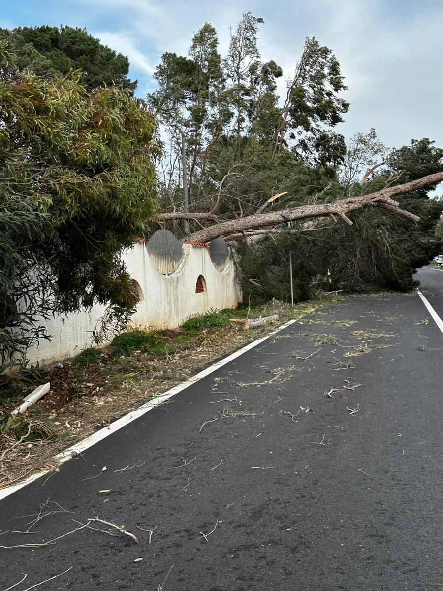 Alghero, venerdì scuole chiuse dopo la bufera