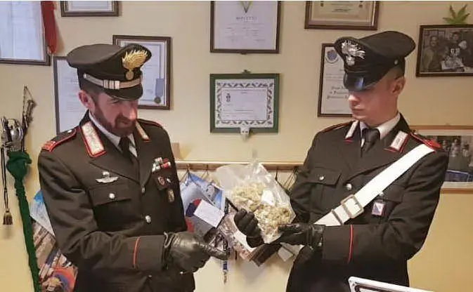 Parte della marijuana sequestrata