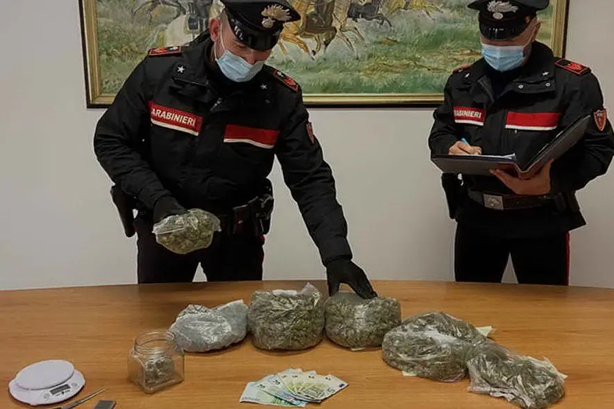 La droga posta sotto sequestro (foto carabinieri di Olbia)