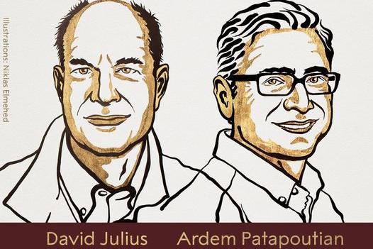 Il Nobel per la Medicina a David Julius e Ardem Patapoutian, scopritori dei recettori della temperatura