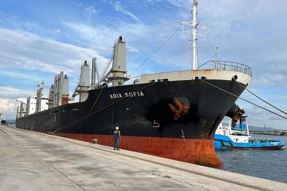 Pellet, a Oristano un carico da 16mila tonnellate: prezzi giù (foto Ansa)
