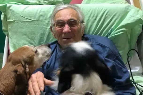 Il signor Elvio con i suoi cani (foto Facebook)