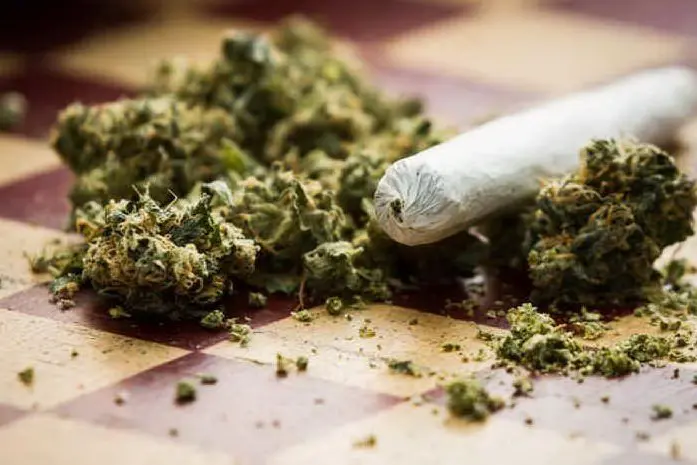 Marijuana