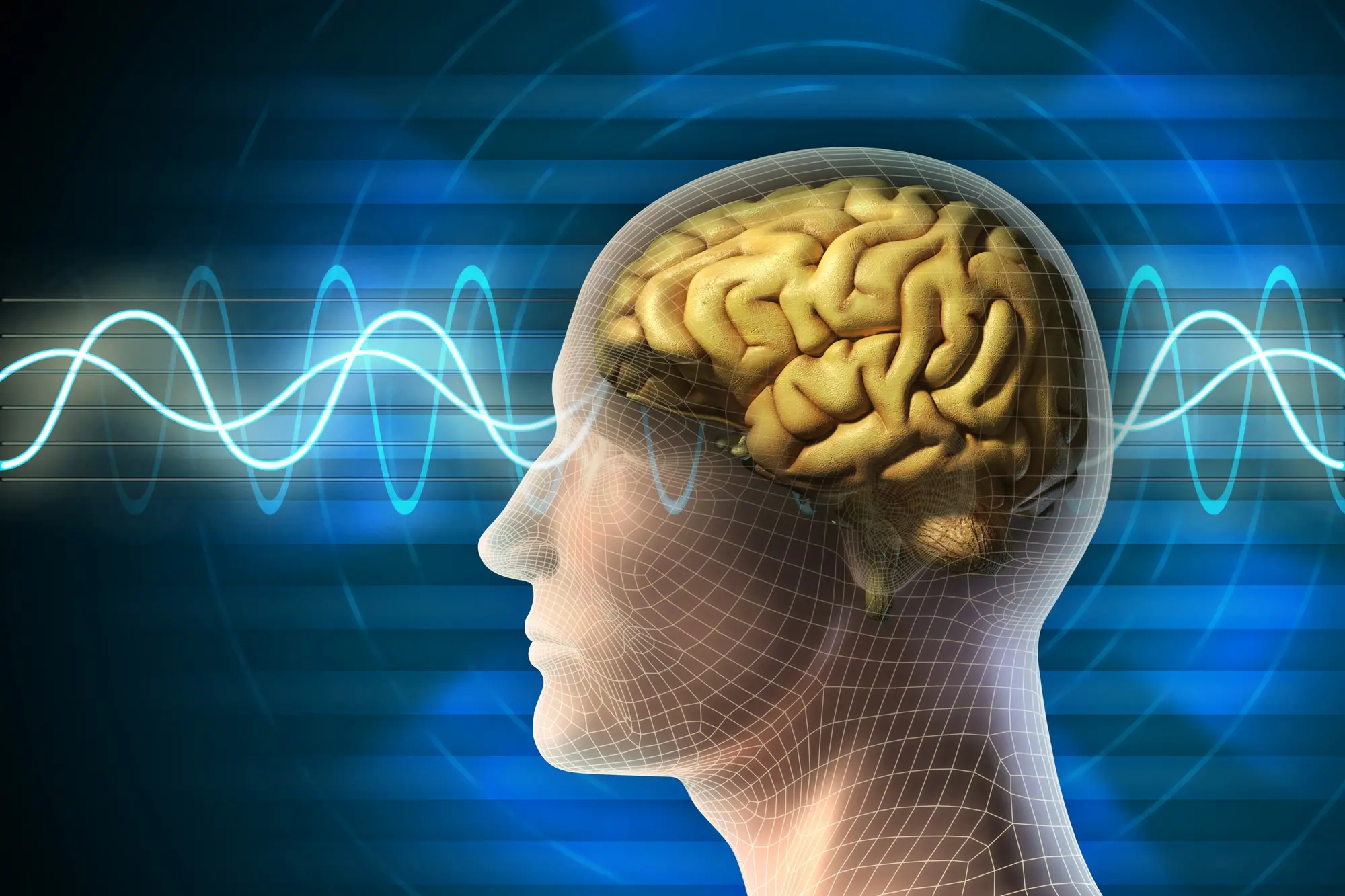 Un'immagine simbolo delle onde sonore percepite dal cervello umano