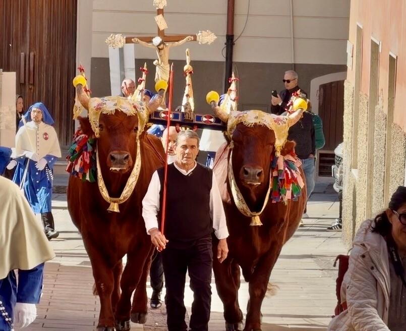 Dermatite bovina: «Il voto sarà sciolto»