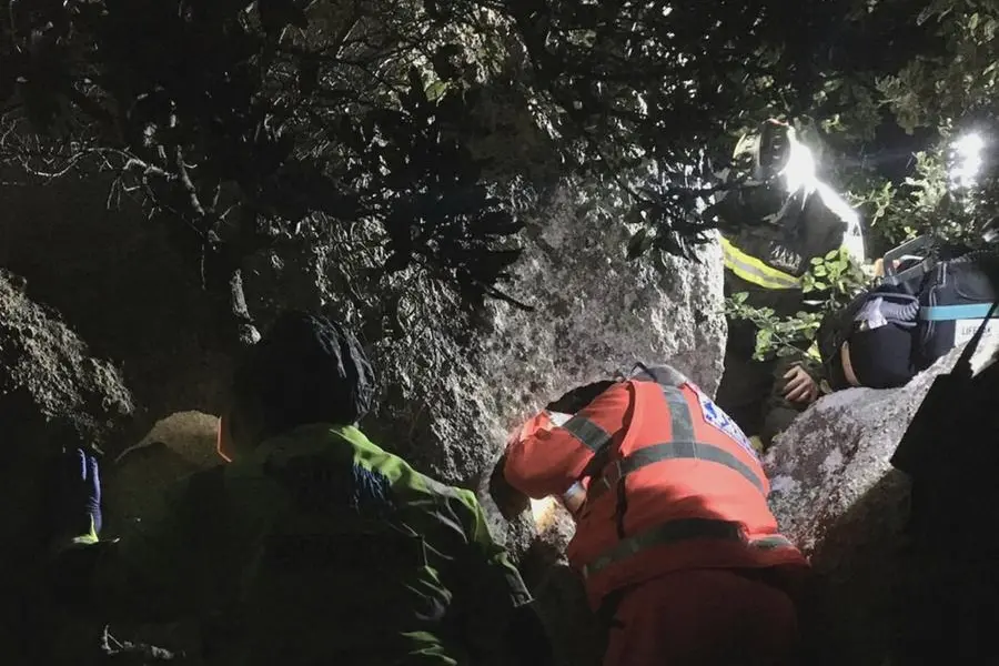 Le attività di recupero (foto Vigili del fuoco)