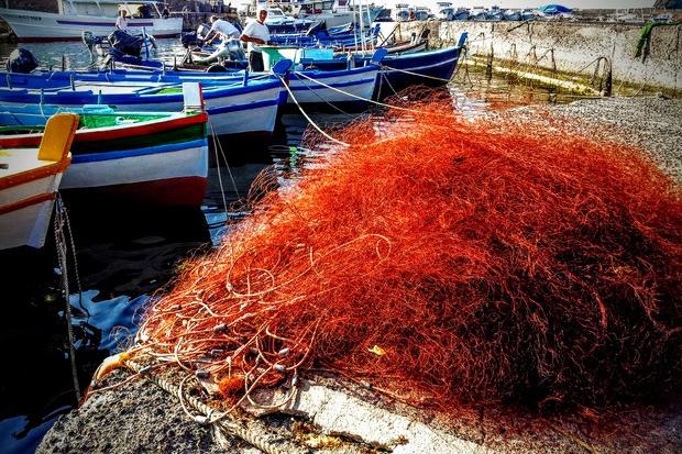 Pesca dei gamberi contingentata, Regione Sardegna: “Rivedere le misure”