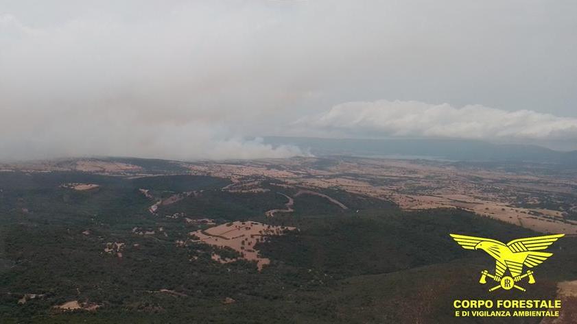 Dodici Roghi In Sardegna Intervengono Gli Elicotteri Del Corpo Forestale L Unione Sarda It