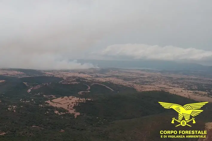 L'incendio di Oschiri (foto Corpo forestale)