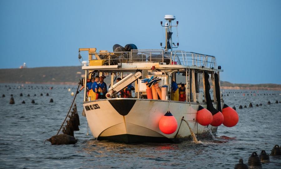 Patto fra ricerca e imprese