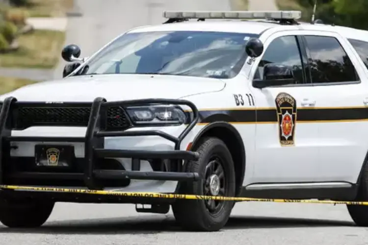 Immagine simbolo (Ansa)